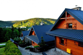 Alpejskie Domy Ski House, Krynica